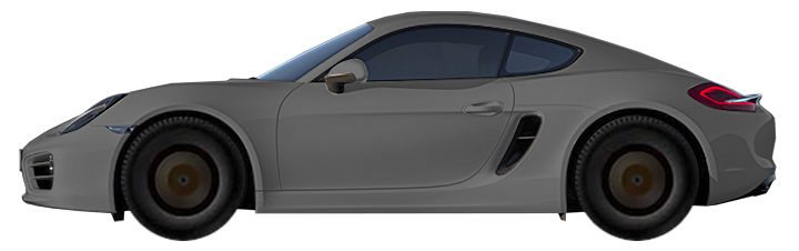 Porsche 718 982 Cayman (2016-2018) 2.0